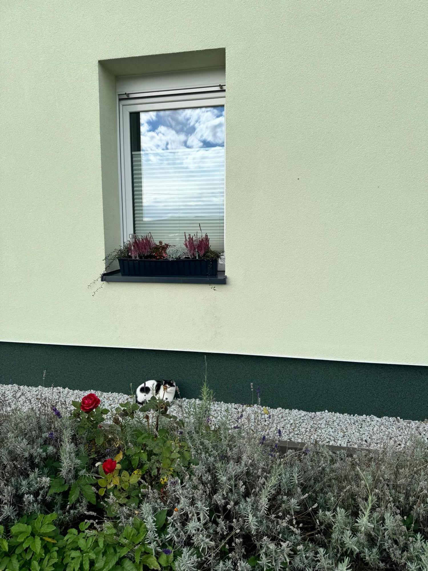 Viridi Apartment Radomierz Exterior photo